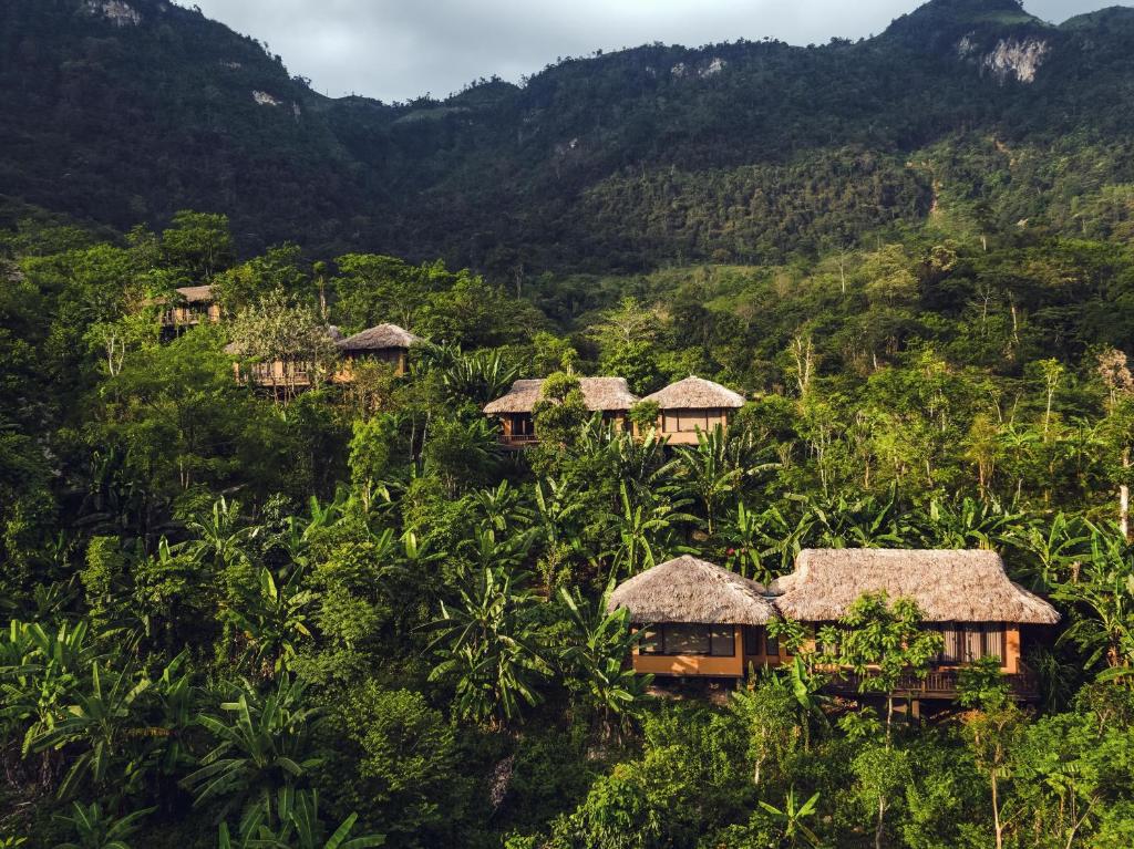 Vue sur des lodges en pleines forêt en Asie