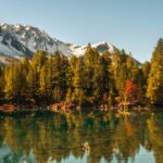 voyage-eco-responsable-automne.