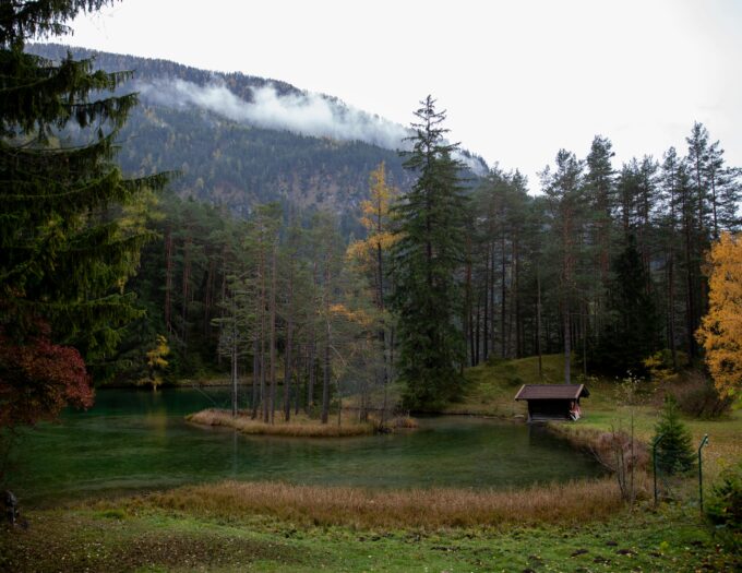 Lodge au bord d'un étang à la lisière d'une forêt