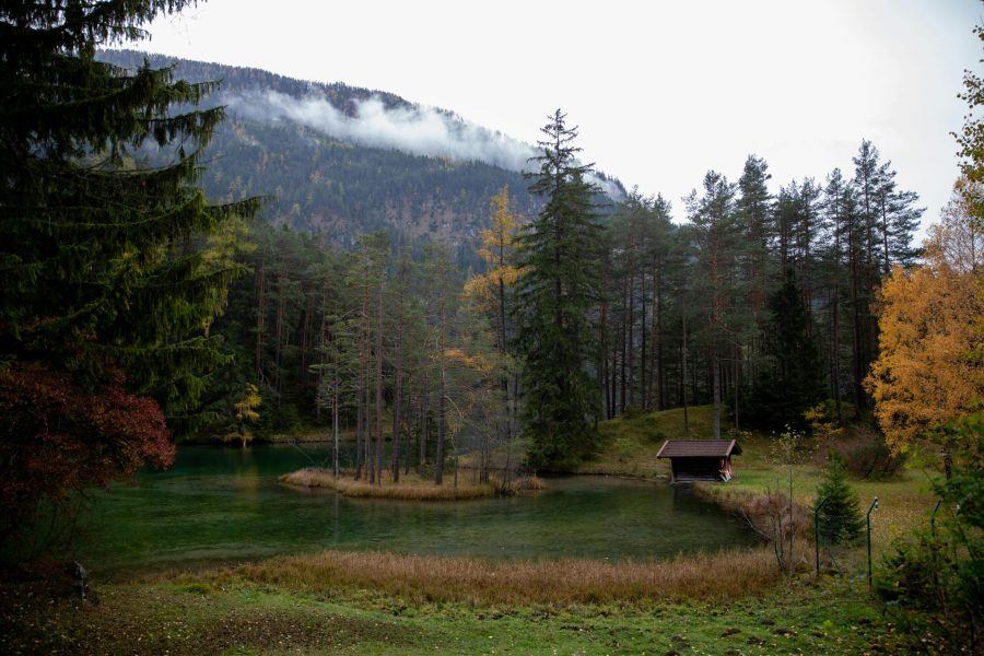 Lodge au bord d'un étang à la lisière d'une forêt
