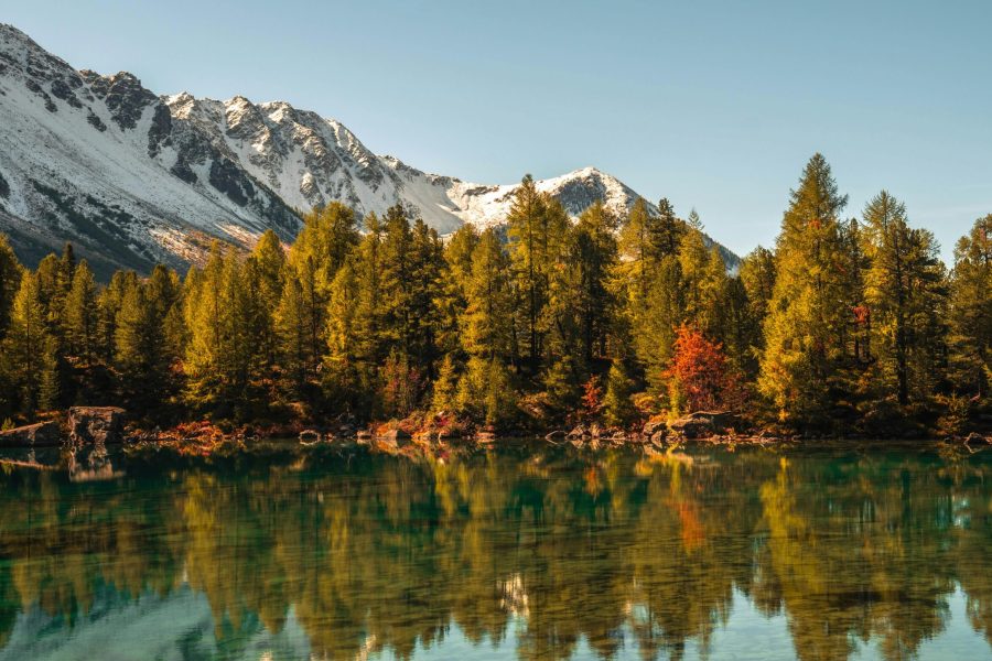 voyage-eco-responsable-automne.